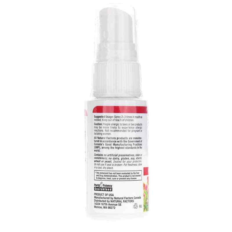 Bee Propolis Throat Spray, by Natural Factors, image #3