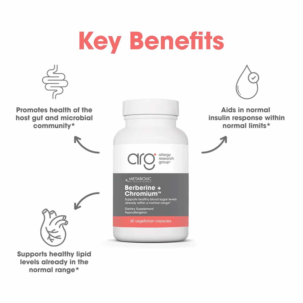 White bottle of Berberine + Chromium supplement by Allergy Research Group with gray and coral label, 60 vegetarian capsules.