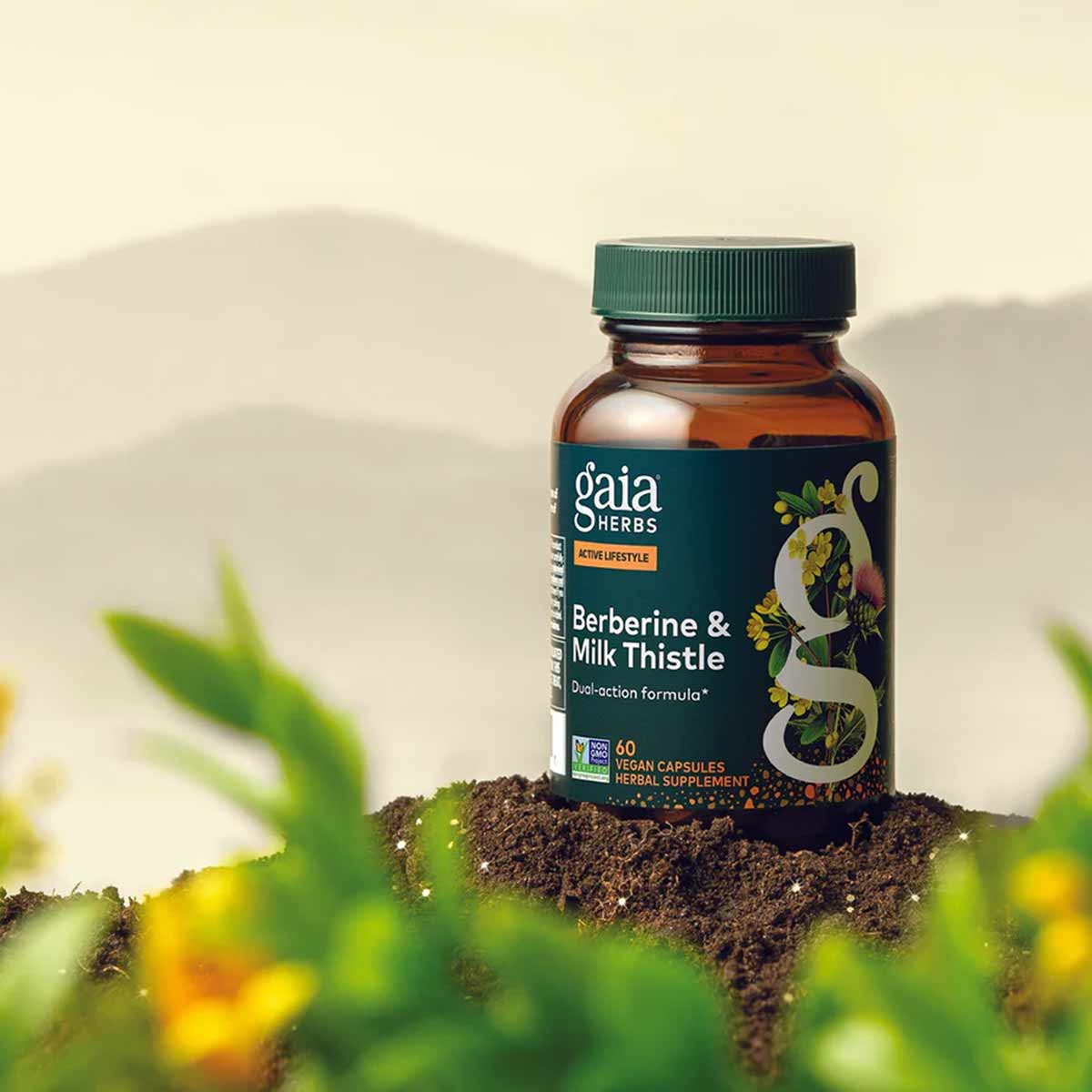 Gaia Herbs Berberine & Milk Thistle bottle with green cap sitting on soil with green plants and yellow flowers in foreground.