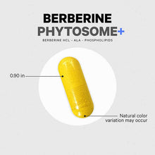 Berberine Phytosome+, by Codeage, image #7