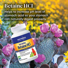 Betaine HCl Fast-Acting, 120 Capsules, by Enzymedica, image #5