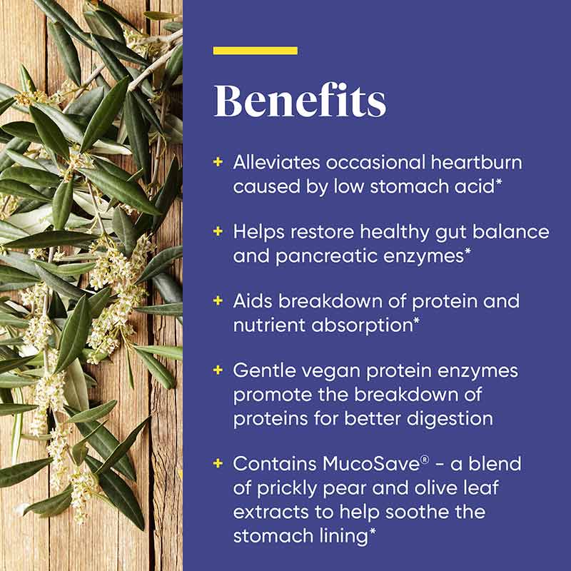 Betaine HCl Fast-Acting, 60 Capsules, by Enzymedica, image #4