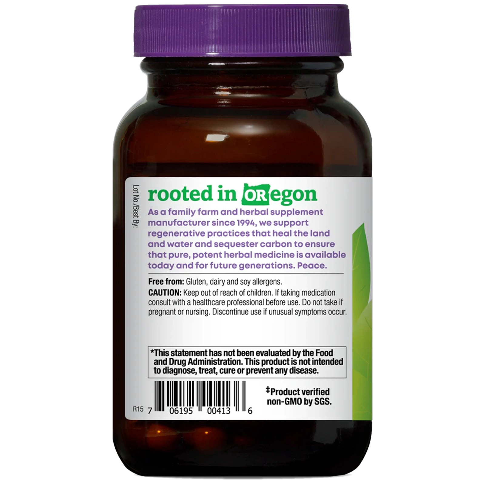 Bilberry, 60 Vegan Capsules, by Oregons Wild Harvest