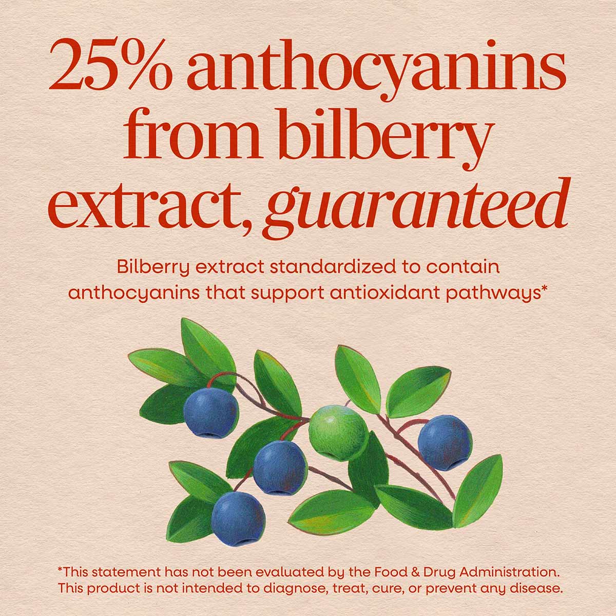 Bilberry Standardized, by Natures Way