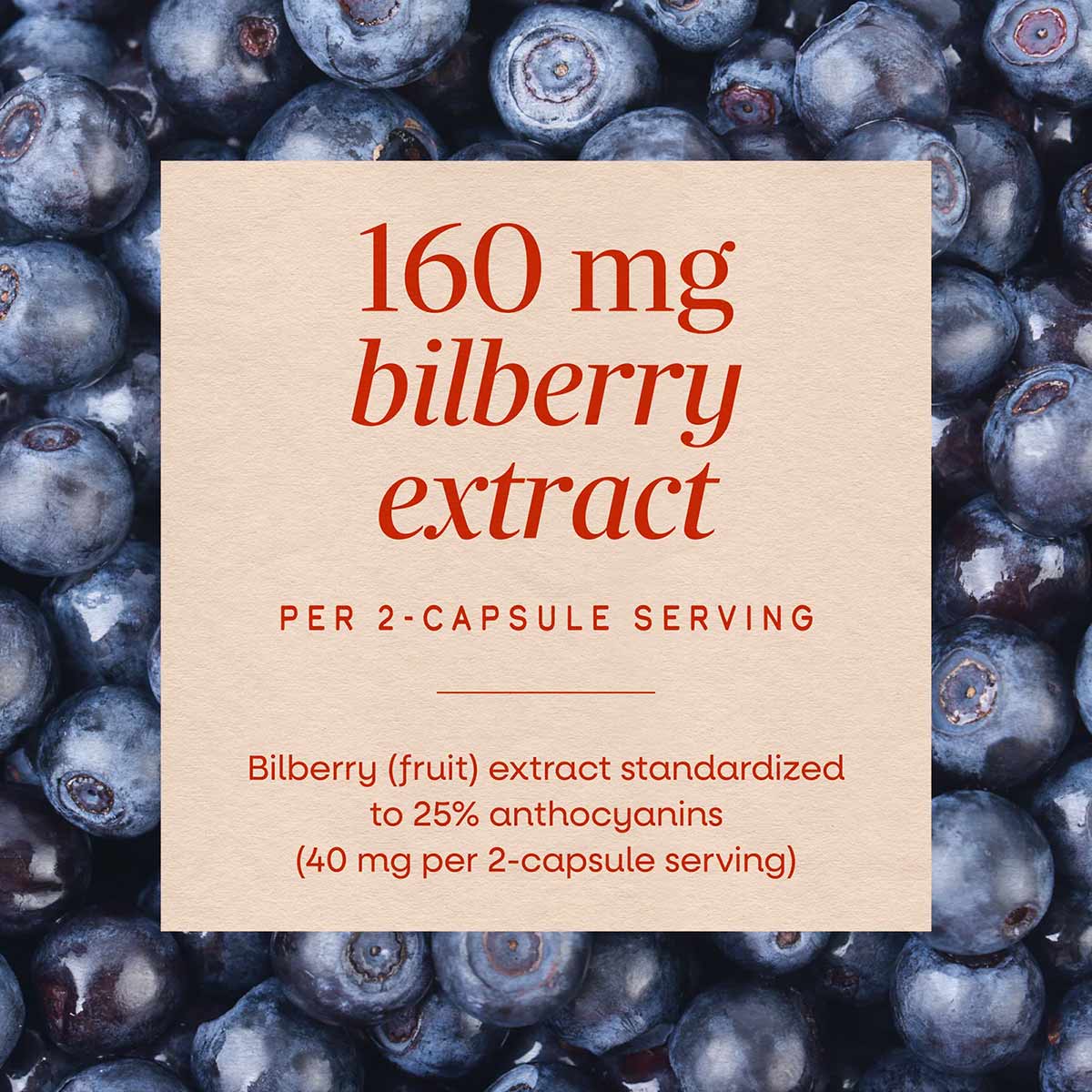Bilberry Standardized, by Natures Way