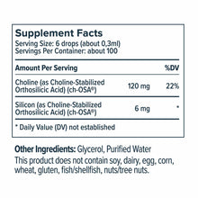 Supplement Facts label showing serving size of 6 drops, containing choline and silicon per serving, with ingredients list.
