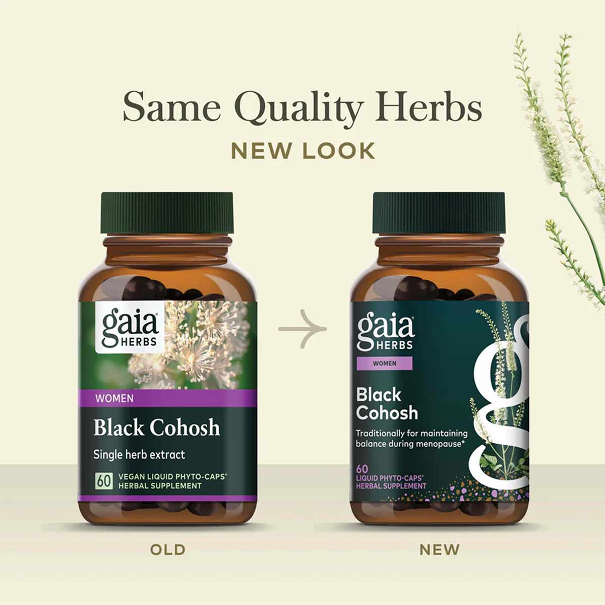 Black Cohosh, by Gaia Herbs