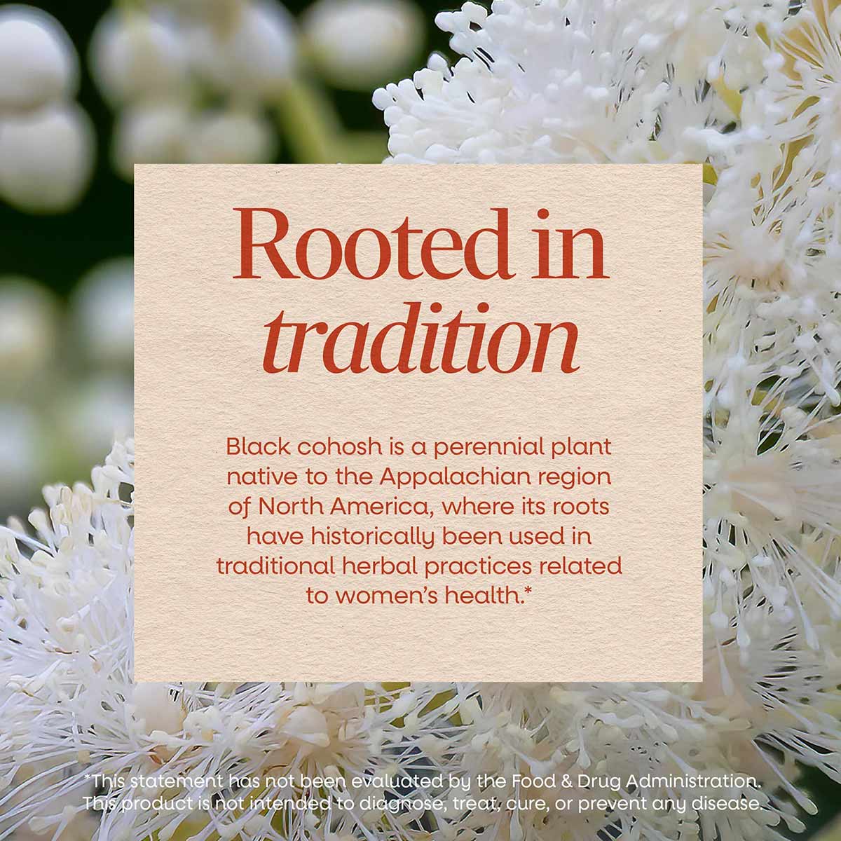 Black Cohosh Root, by Natures Way