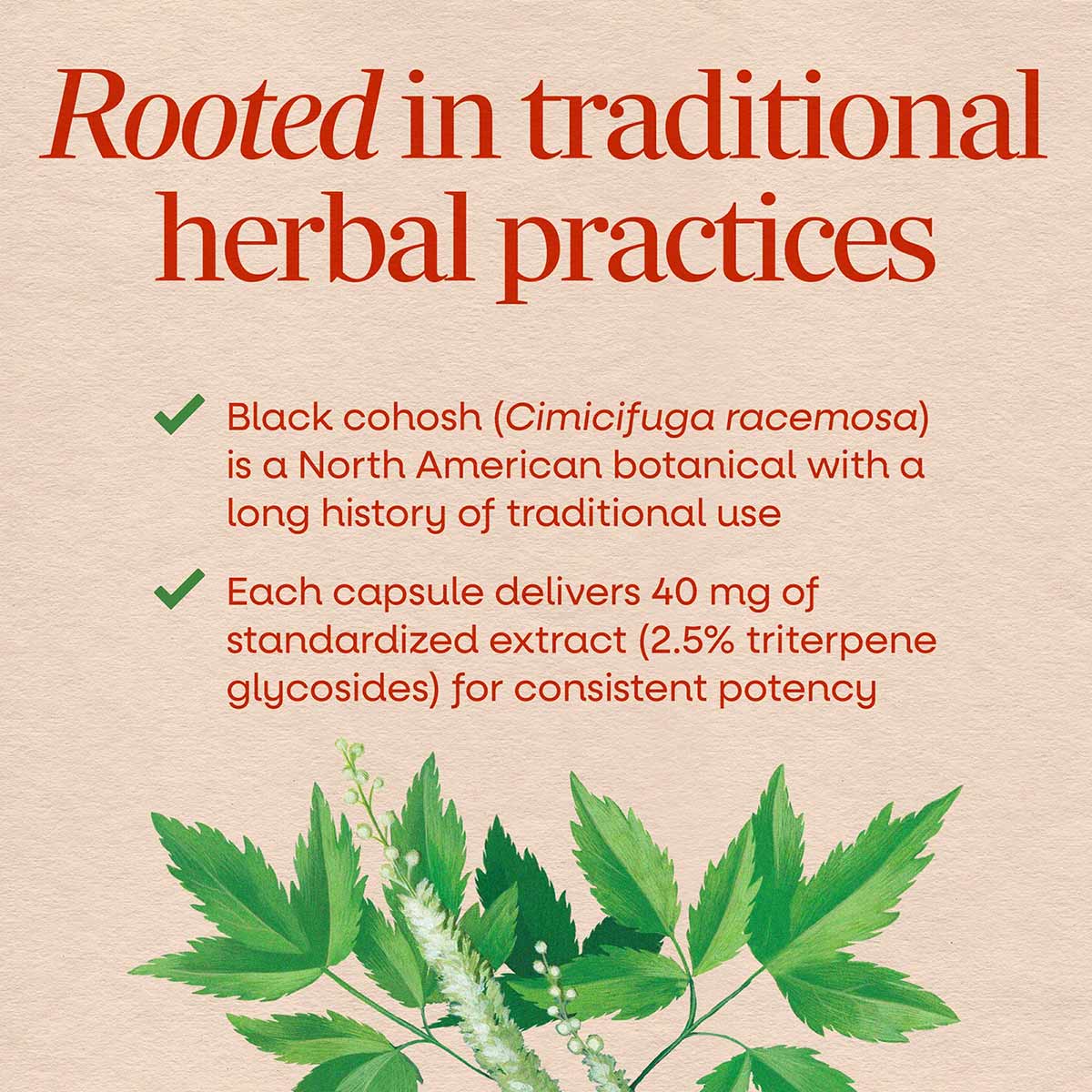 Black Cohosh Standardized, by Natures Way