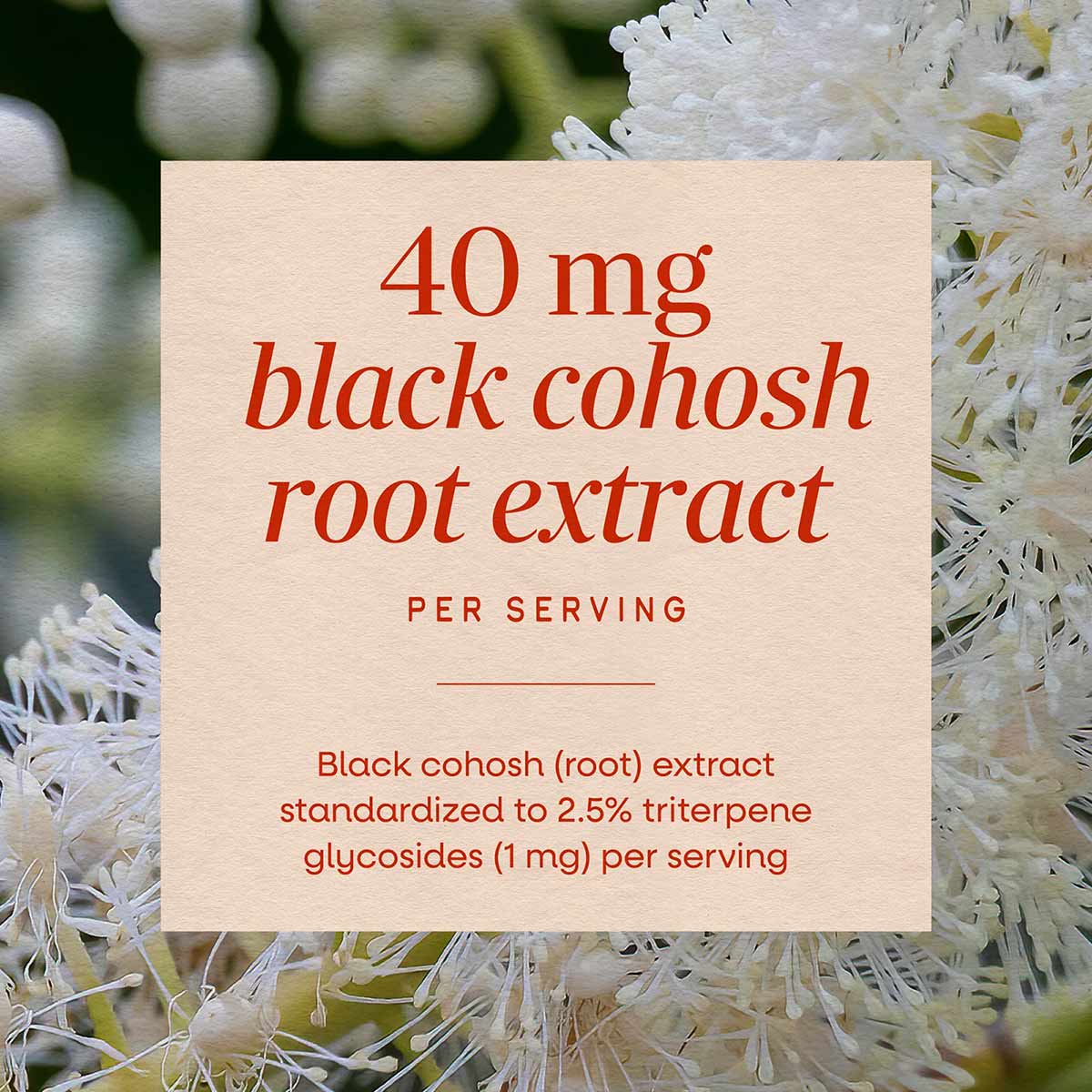 Black Cohosh Standardized, by Natures Way