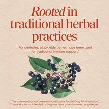 Black Elderberry, by Natures Way