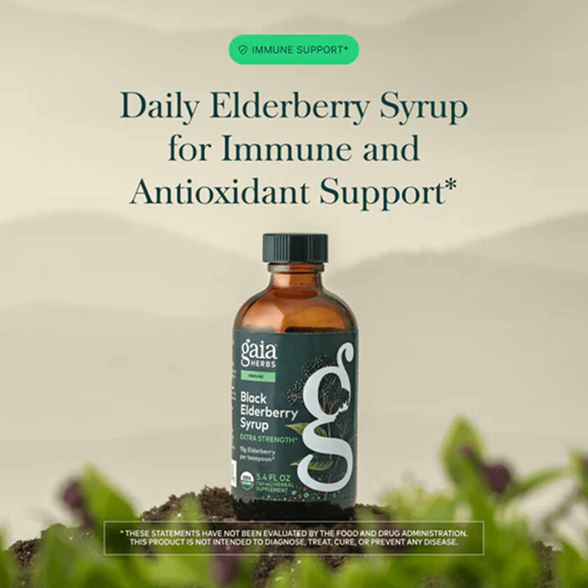 Black Elderberry Syrup Extra Strength, by Gaia Herbs