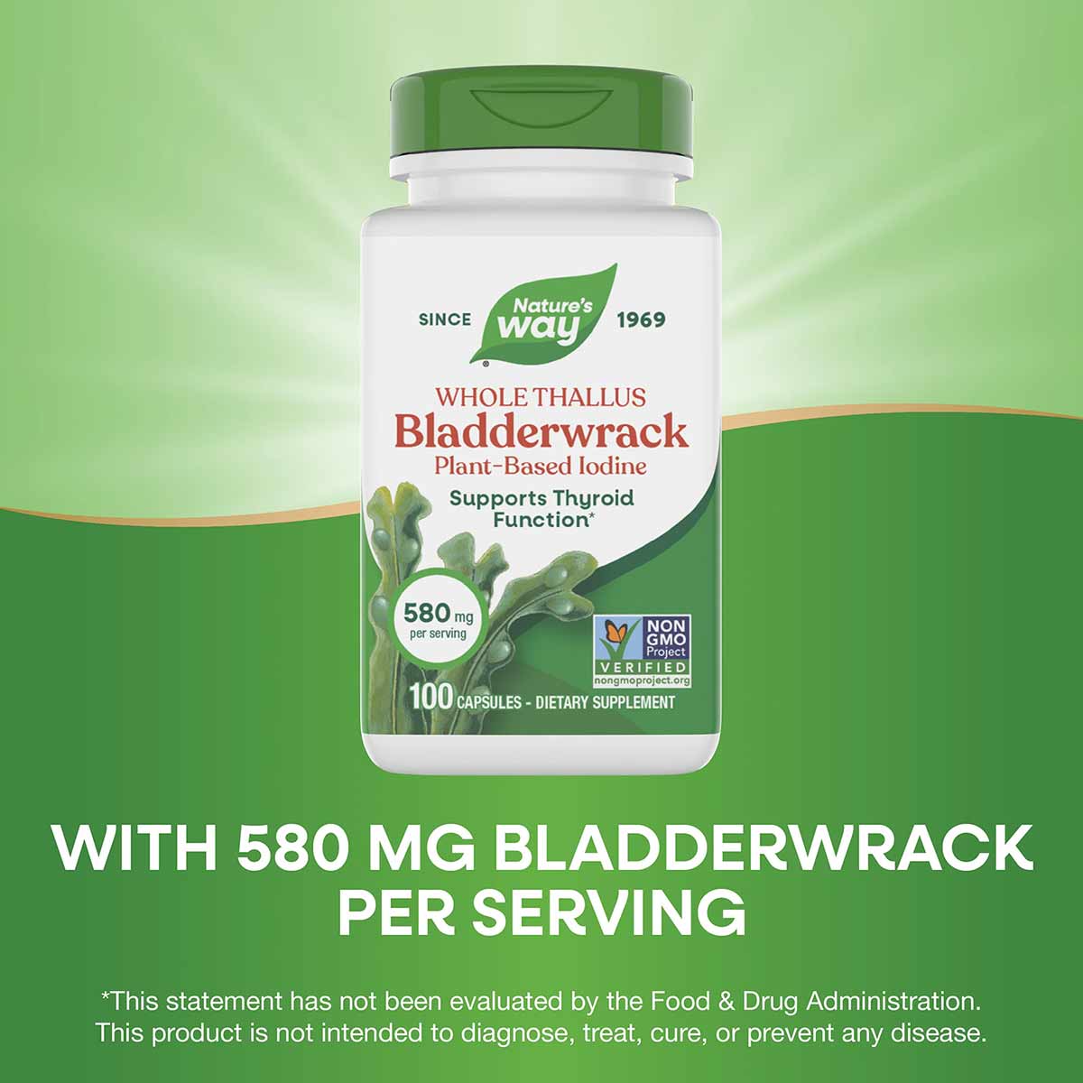 Bladderwrack, by Natures Way