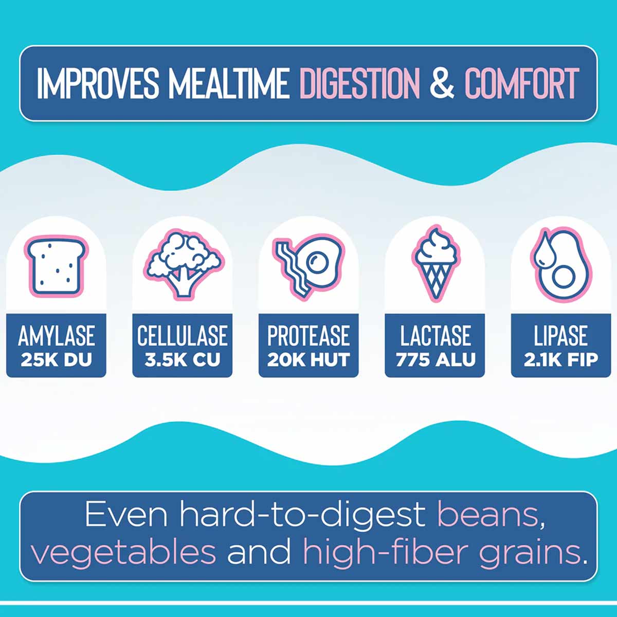 Infographic showing five digestive enzymes with icons: amylase, cellulase, protease, lactase, and lipase, on turquoise and wh