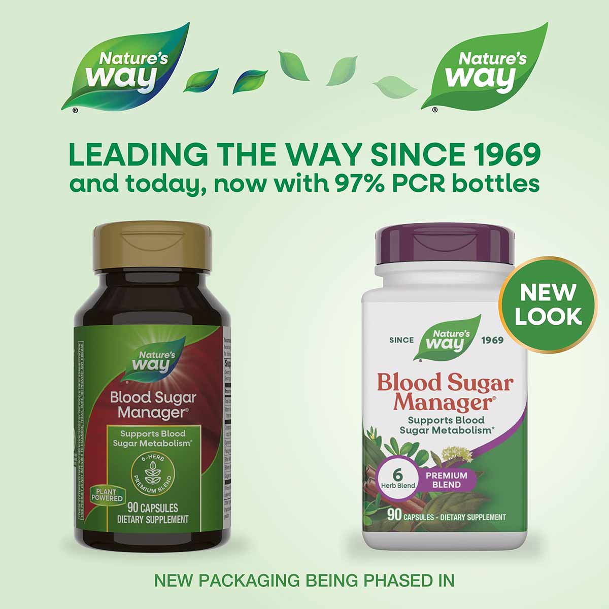 Blood Sugar Manager, by Natures Way