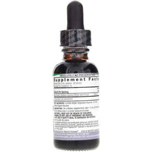 Blue Vervain, by Natures Answer, image #2