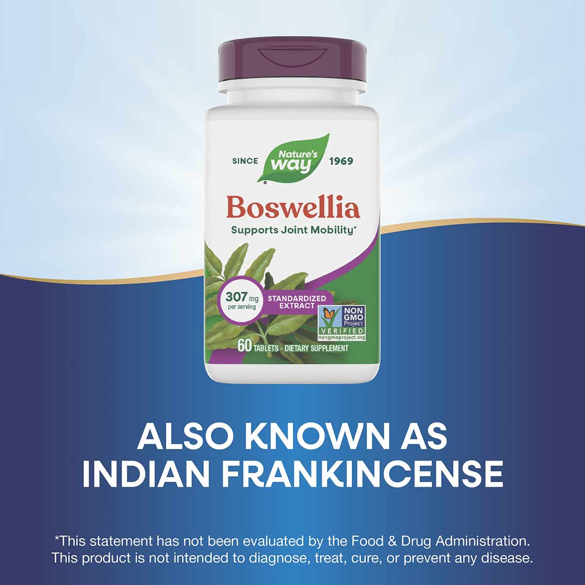 Boswellia Standardized, by Natures Way