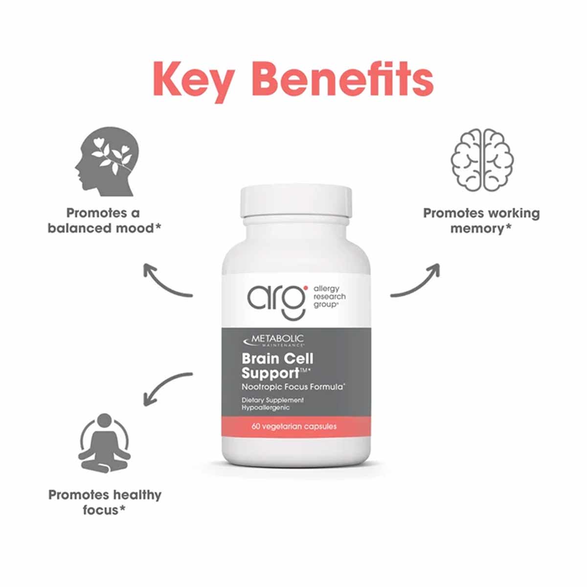 Brain Cell Support, 60 Capsules, by Allergy Research Group