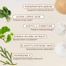 Supplement bottle with labeled ingredients including phosphatidylserine, alpha-lipoic acid, acetyl-L-carnitine, ginkgo biloba