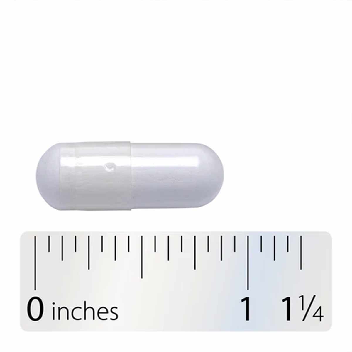 Clear capsule supplement next to ruler showing approximately one inch in length.