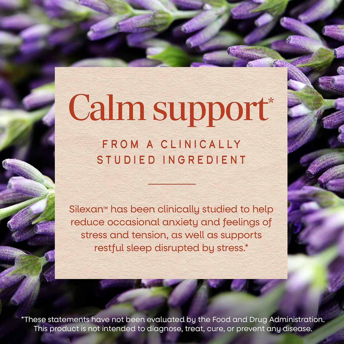 Cream-colored product information card with red text displayed over purple lavender flowers and green stems.