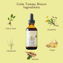 Calm Tummy Bitters bottle by Urban Moonshine surrounded by ingredient illustrations: yellow dock, dandelion, chamomile, ginge