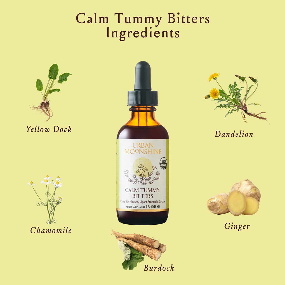 Calm Tummy Bitters bottle by Urban Moonshine surrounded by ingredient illustrations: yellow dock, dandelion, chamomile, ginge