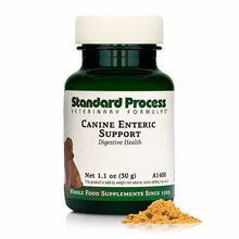 Canine Enteric Support, 30 Grams, by Standard Process
