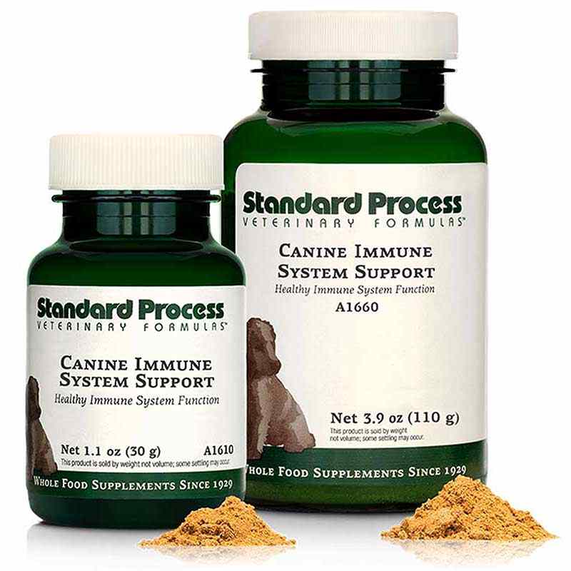 Canine Immune System Support, Standard Process – Natural Healthy Concepts
