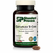 Cataplex B-Core, 120 Tablets, by Standard Process