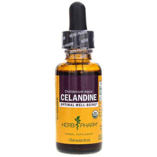 Celandine Extract, by Herb Pharm