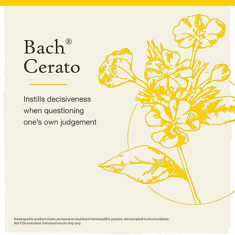 Cerato Flower Essence, by Bach Flower Remedies, image #3