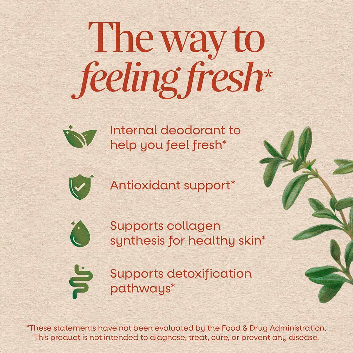Chlorofresh Chlorophyll Concentrate product packaging with green leaf illustrations and red text describing benefits on beige