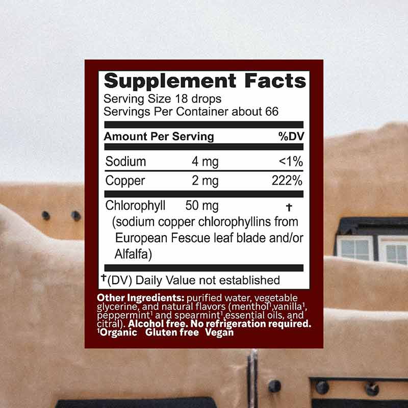 ChlorOxygen Liquid Mint, 1 Oz, by Herbs, Etc, image #2