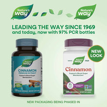 Cinnamon Standardized, by Natures Way