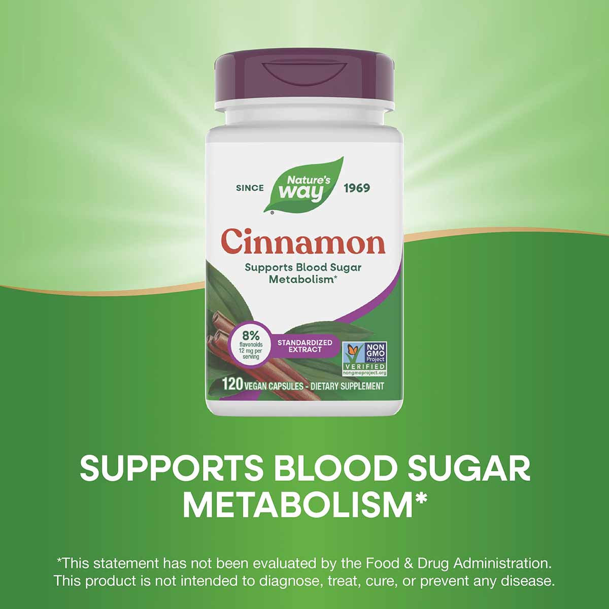 Cinnamon Standardized, by Natures Way