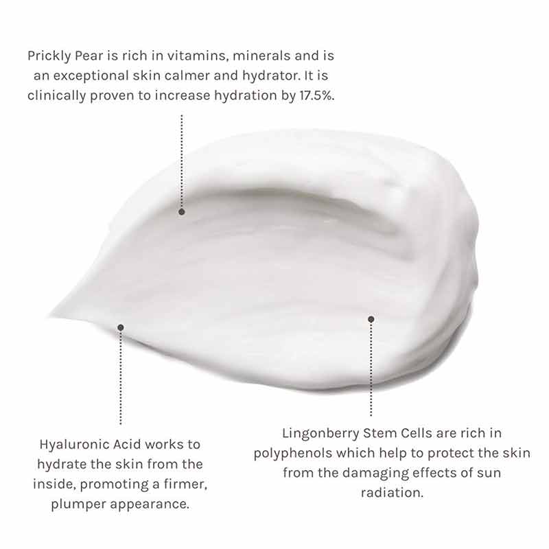 Climate Defence Facial Cream SPF 30, 1.3 Oz, by Evolve Organic Beauty, image #3