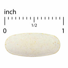 Cream-colored oval tablet with speckled surface shown next to inch ruler for scale.