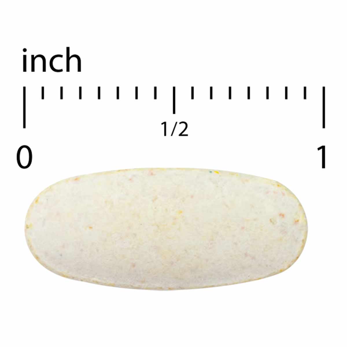 Cream-colored oval tablet with speckled surface shown next to inch ruler for scale.