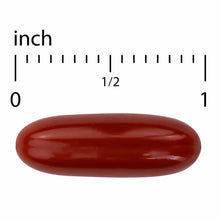 Dark red oval capsule shown next to inch ruler for scale.
