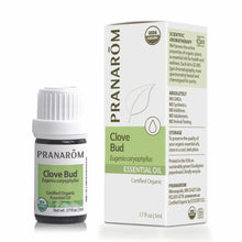 Clove Bud Essential Oil, .17 Oz, by Pranarom
