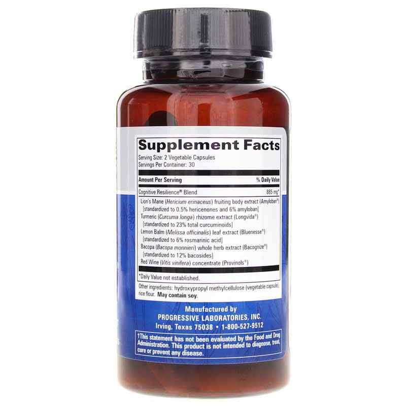 Cognitive Resilience, by Progressive Labs, image #2