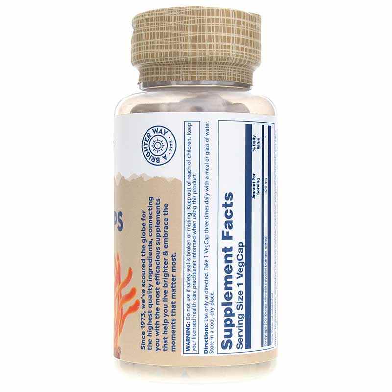 Cordyceps 520 Mg, by Solaray, image #2