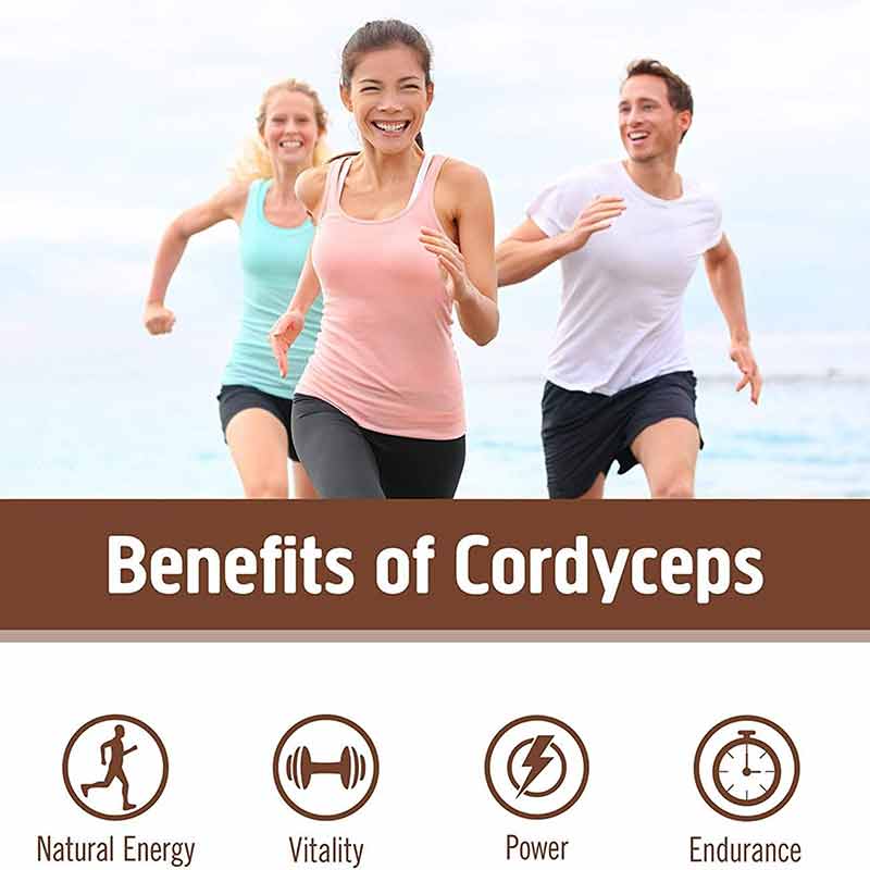 Cordyceps, by Om Mushroom, image #4