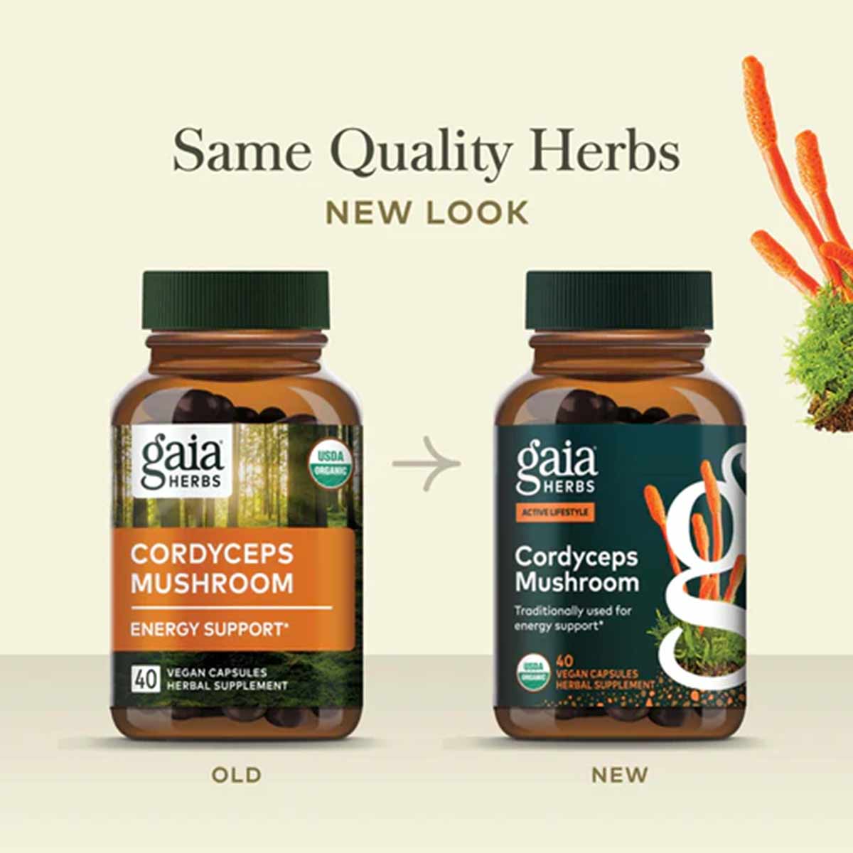 Two brown glass bottles of Gaia Herbs Cordyceps Mushroom with green caps, showing old and new label designs side by side.