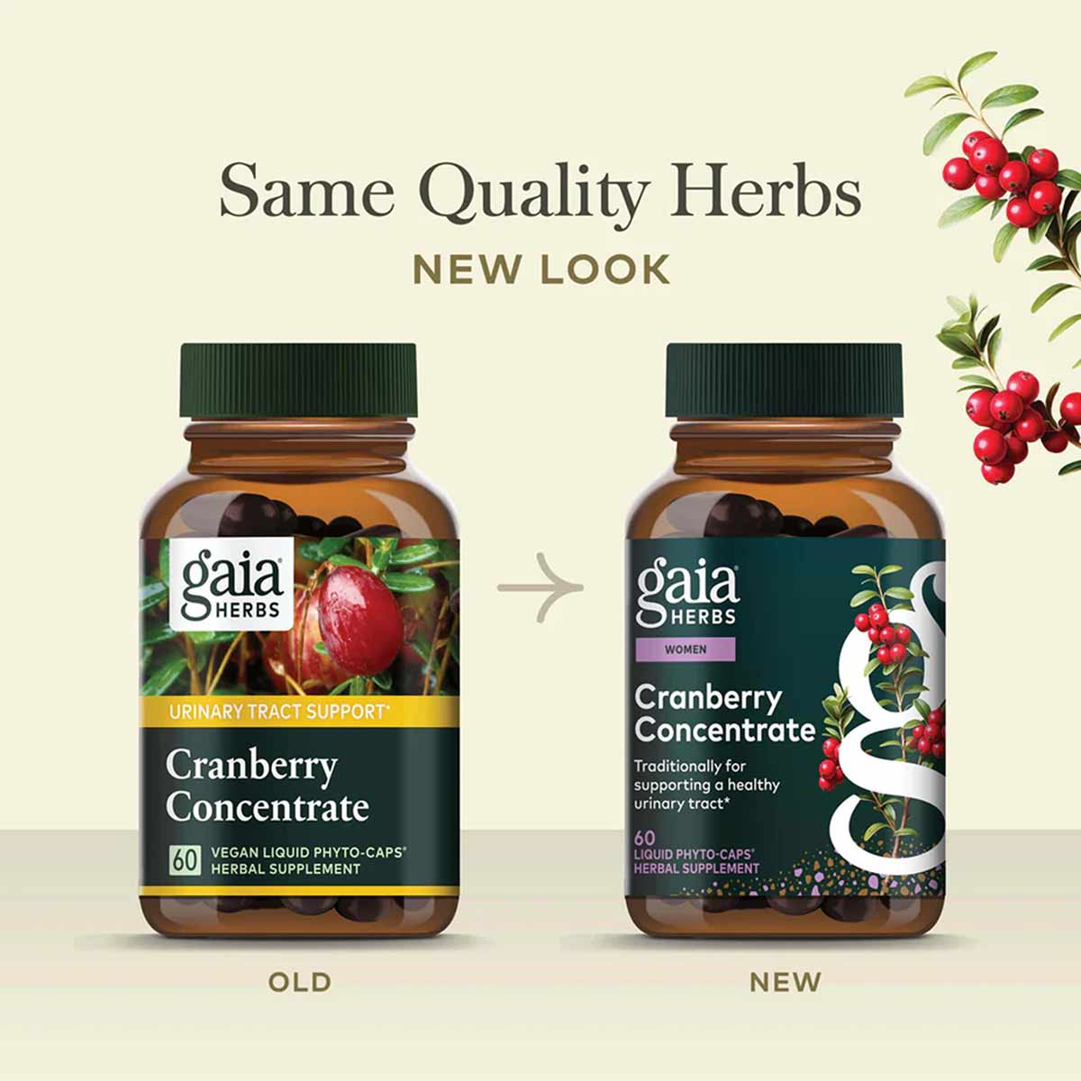 Two Gaia Herbs Cranberry Concentrate bottles with green caps showing old and new label designs side by side.
