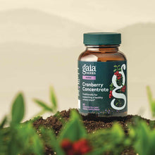Gaia Herbs Cranberry Concentrate bottle with dark teal label and green cap, surrounded by soil and cranberry plant foliage.