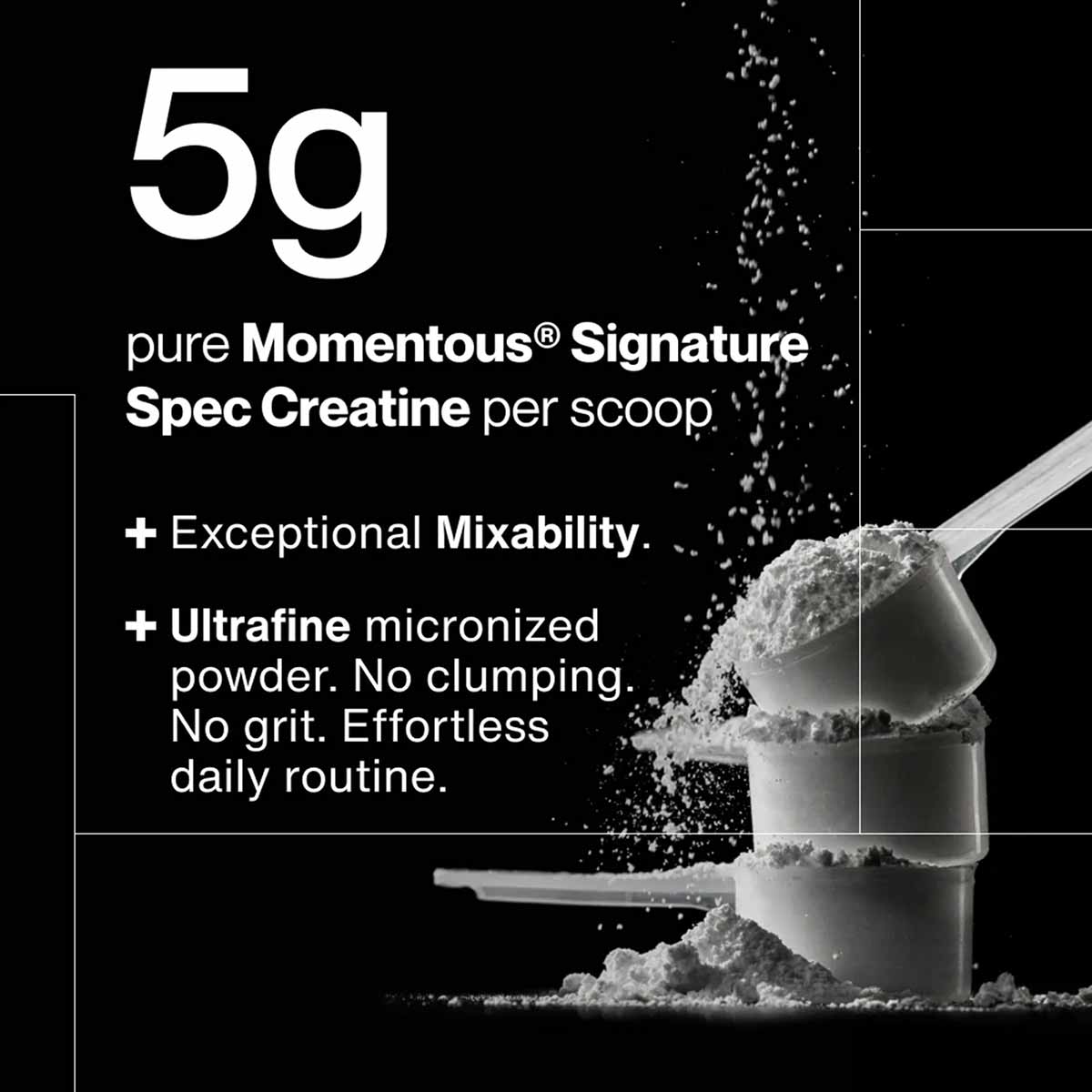 Creatine, by Momentous