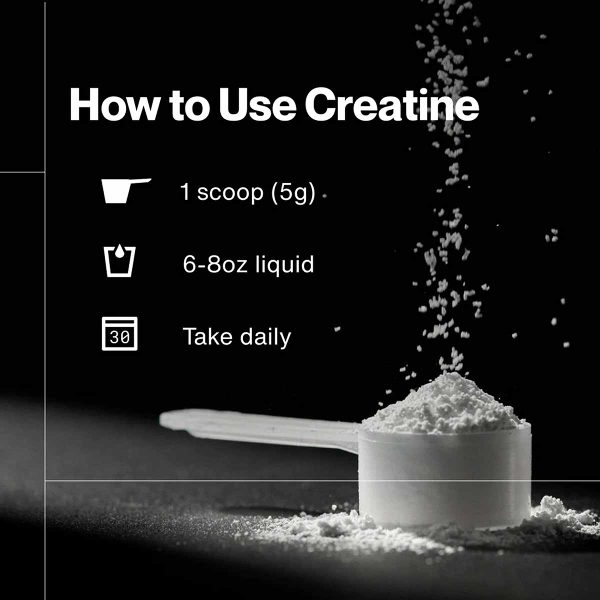 Creatine, by Momentous