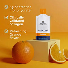 Creatine + Collagen Gel, by Ancient Nutrition